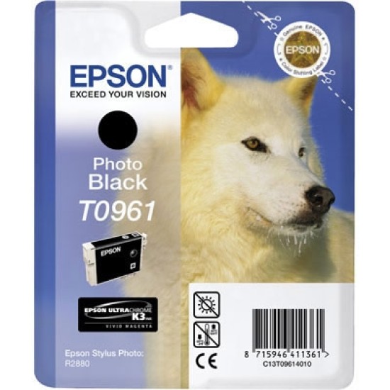 Epson C13T09614020 T0961 Foto Siyah Orjinal Kartuş - Photo R2880 T2074