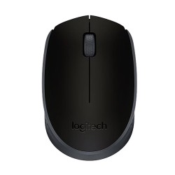 Logitech M171 910-004424 Siyah Optik Kablosuz Mouse