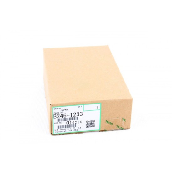 Ricoh B246-1233 Front Ozone Filter - 1060 Ricoh B246-1233 Front Ozone Filter - 1060