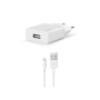ttec SmartCharger 2.1A Seyahat Şarj Aleti + Lightning Kablo 2SCS20LB T16844