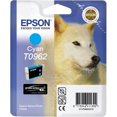 Epson C13T09624020 Mavi Orjinal Kartuş - Photo R2880