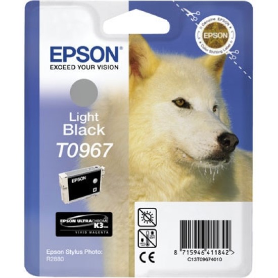 Epson C13T09674020 (T0967) Açık Siyah Orjinal Kartuş - Photo R2880 Epson C13T09674020 (T0967) Açık Siyah Orjinal Kartuş - Photo R2880